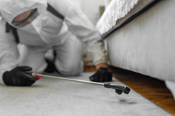 Professional Rodent Control technician working in West Swanzey, NH