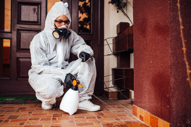 Reliable Rodent Control contractor in West Swanzey, NH by Nex Pest Control