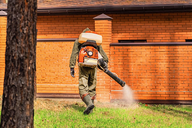 Trusted Rodent Control service in West Swanzey, NH - Nex Pest Control
